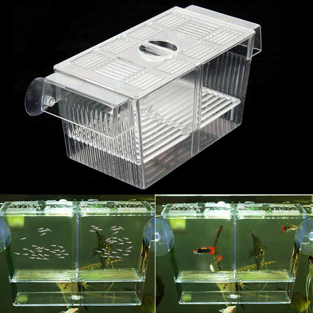 Aquarium Hatchery Trap Fish Breeding Box Tank Floating Double Isolation ...